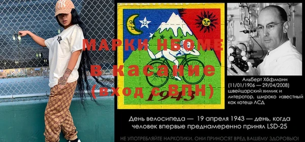прущие грибы Беломорск